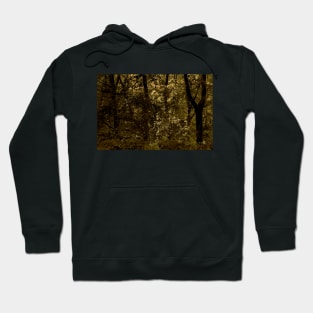 Deep Autumn Forest Hoodie